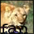 Big Cats