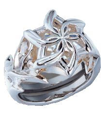 Nenya, the Ring of Adamant. It was one of the 3 Rings of the Elves. It was borne by Galadriel of Lothl�rien.