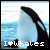 Size Matters: Whales