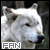 White Magic: White Wolves