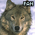 Twilight Hunter: Grey Wolves