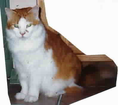 Garfield