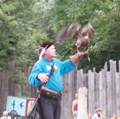 Bird of Prey!