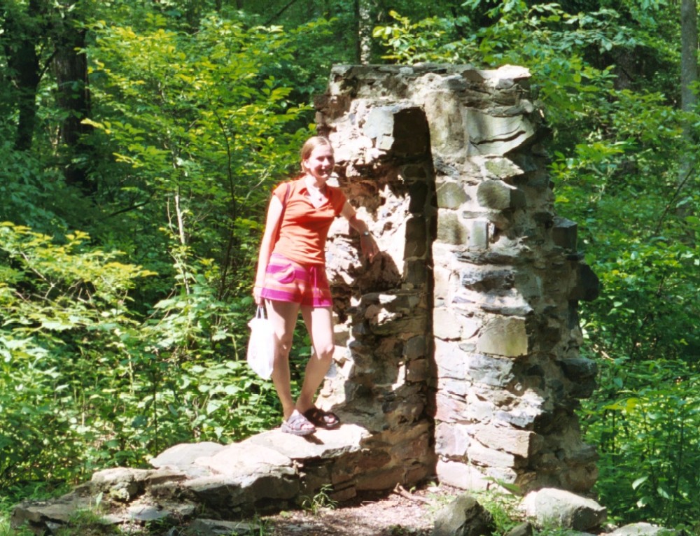 Leafy on a ruin