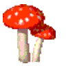Click to Return to Previous Page