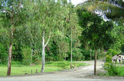 The way to my grandparents' farm. (Pagudpud, Philippines)