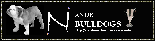 /user/nandebanner.gif