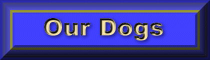 /user/ourdogs.gif