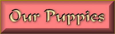 /user/puppink.gif