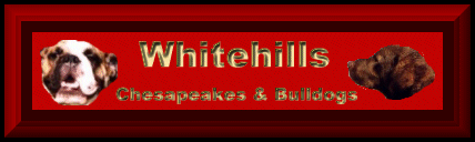 /user/whitehills1.gif