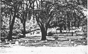 confederfla.jpg (37470 bytes)