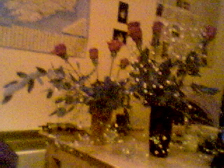 Hey! I didn't have a vase, ok?