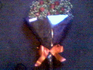 Look! A pretty red bow!!