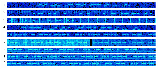 vscwmark.gif