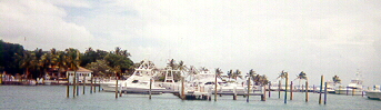 Walker's Cay harbor