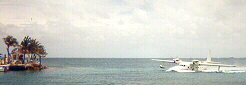 floating towards Walker's