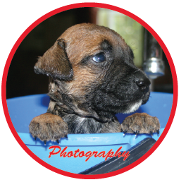 photography