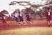 dfm_inaction02
