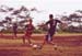 dfm_inaction03