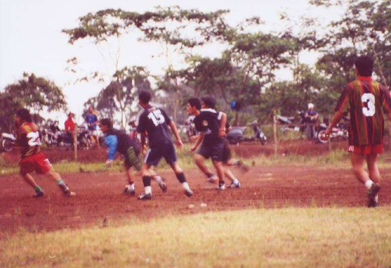 dfm_inaction02