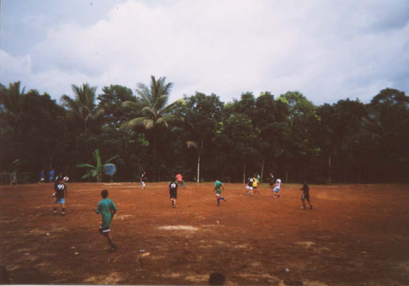 dfm_inaction04