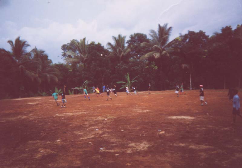 dfm_inaction05