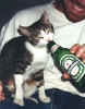 snicksbeer.jpg (18357 bytes)