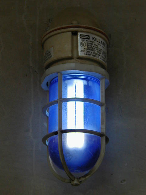 P9230902
