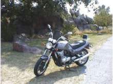 My Bike - The Shark