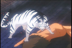 Aisha in Tiger form.&nbsp; Impressive!