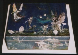 Debbie Rabbidge - Box