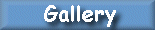 gallery button
