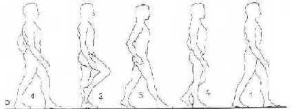 CMT Gait