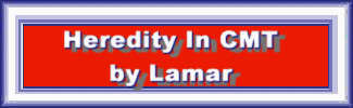 Heredity in Charcot Marie Tooth Disease by Lamar