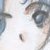 Karissa Profile Pic