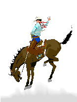 Cowboy Baseball