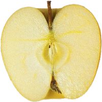 apple on a white background from black using the alpha channel method of selection.