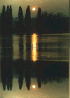 This image was copied onto a larger canvas duplicated and flipped and then the pool shadow filter was applied.