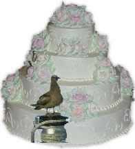 Hey, that is a strange cake decoration!  Please do NOT eat the bird!!!!