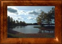 Framed Image