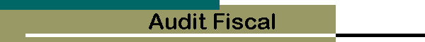 Audit Fiscal