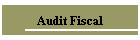 Audit Fiscal