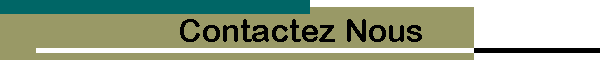 Contactez Nous