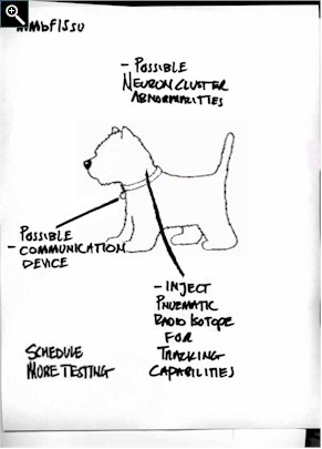 Primatech illustration