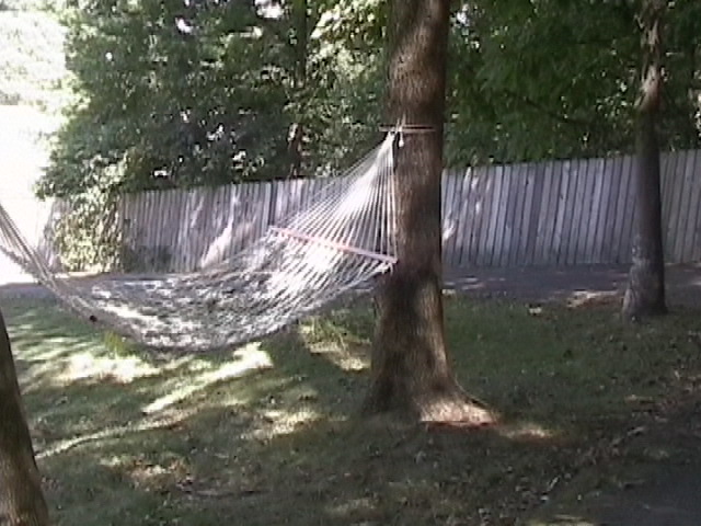 hammock