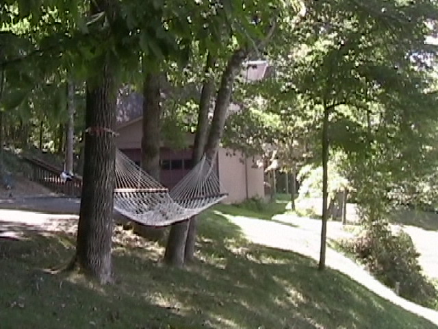 hammock