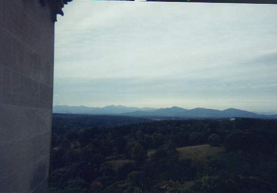 Rooftop view