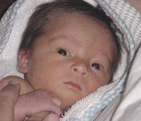 Picture of Sarah  