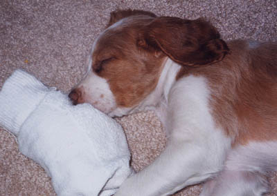 Hardly bigger than a pair of socks!