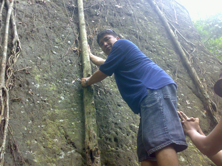 recall__makulot_2007_2010